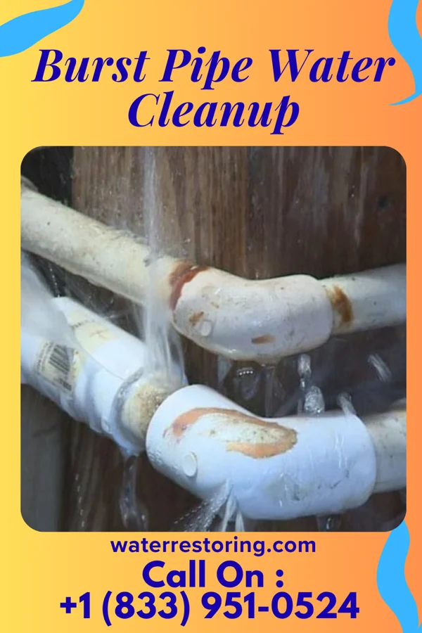Burst Pipe Water Cleanup in Dewey, MT