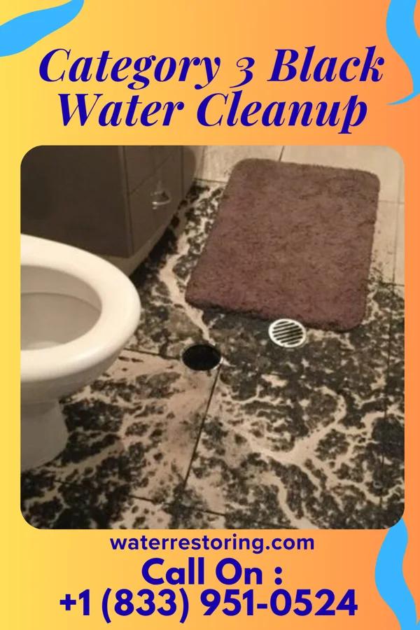 Category 3 Black Water Cleanup in Dewey, MT