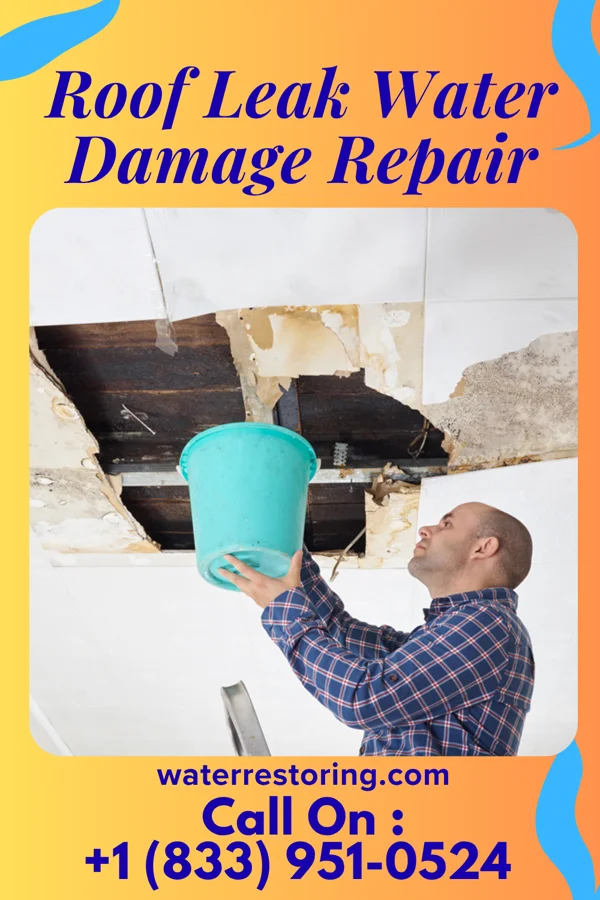 Roof Leak Water Damage Repair in Dewey, MT