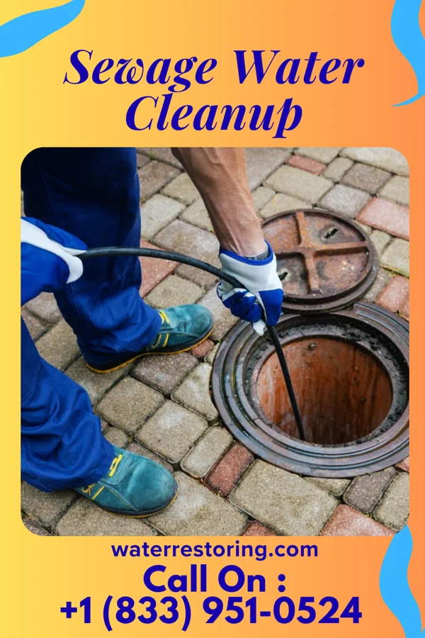 Sewage Water Cleanup in Dewey, MT